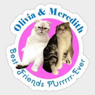 Olivia & Meredith Sticker